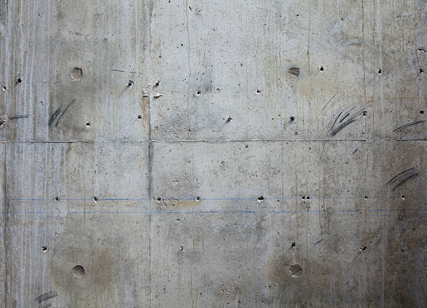 Best Custom Concrete Contractor  in Brigham City, UT